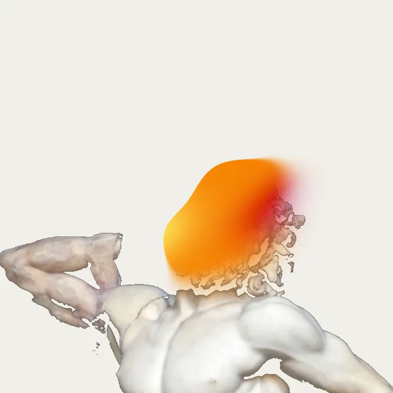 Template 19